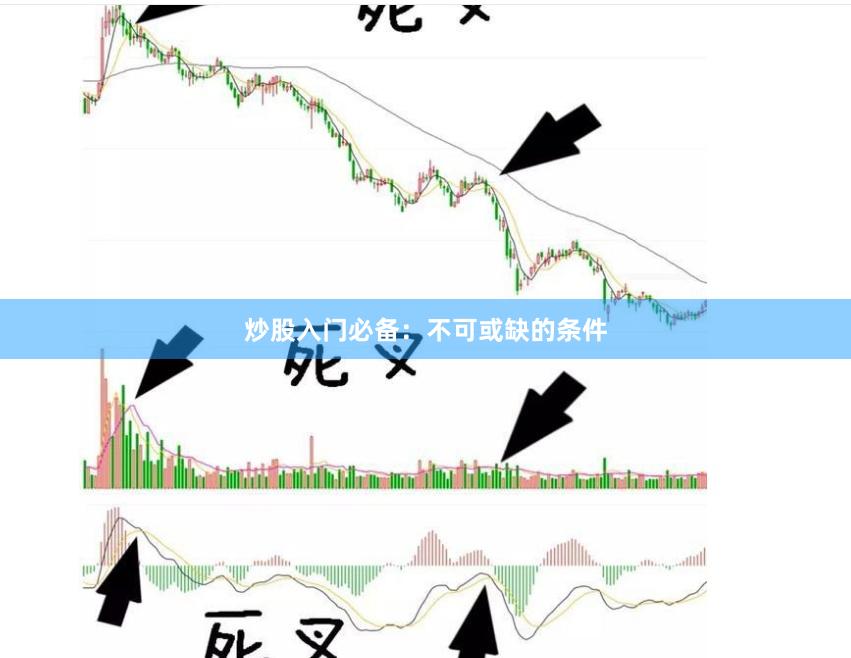 炒股入门必备：不可或缺的条件