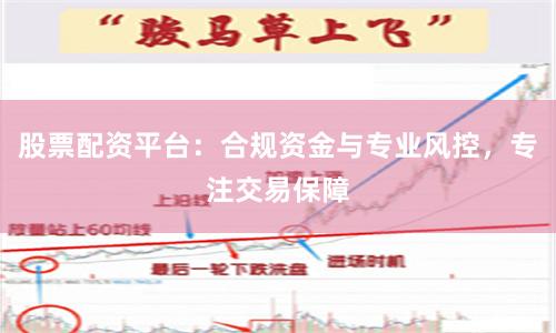 股票配资平台：合规资金与专业风控，专注交易保障